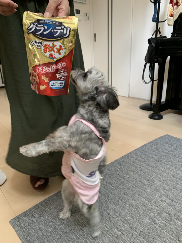 犬用おっとっと